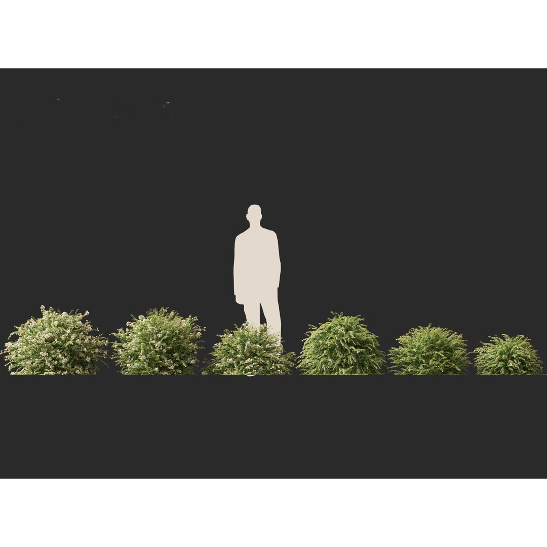 Abelia x grandiflora 3D Model – Glossy Bush Asset, FBX & Blender - View 5