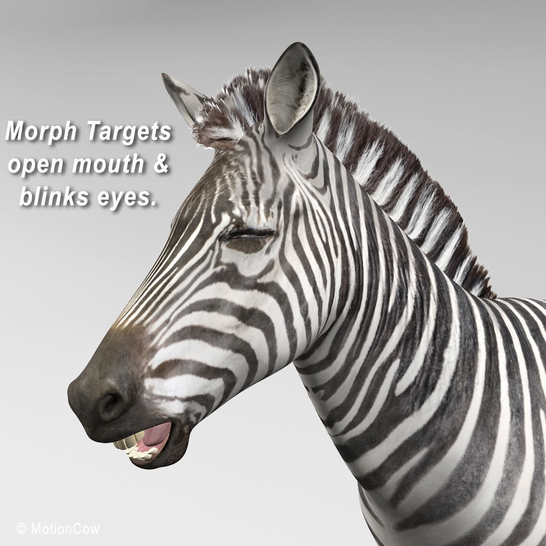 Photo Realistic Zebra 3D Model – Rigged, Animation Ready, FBX - View 10