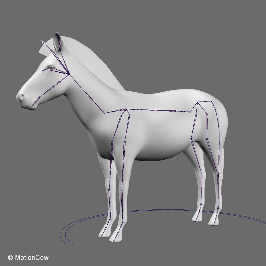 Photo Realistic Zebra 3D Model – Rigged, Animation Ready, FBX - View 13