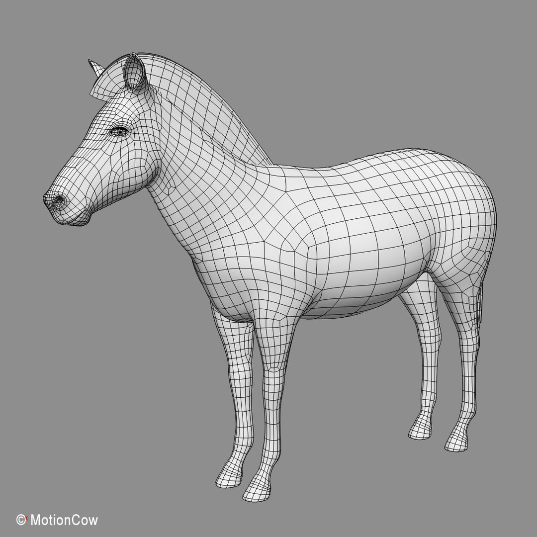 Photo Realistic Zebra 3D Model – Rigged, Animation Ready, FBX - View 14