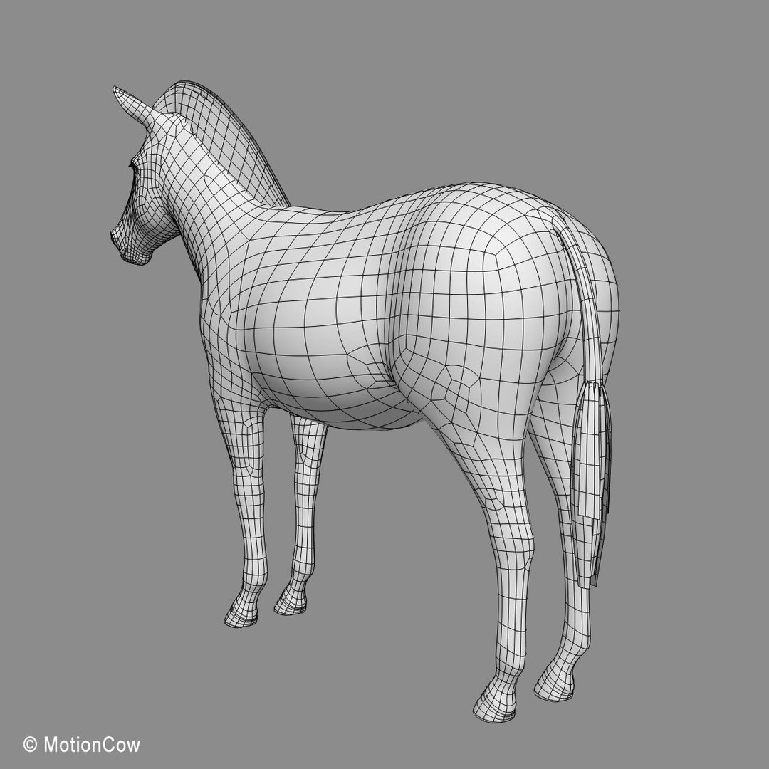 Photo Realistic Zebra 3D Model – Rigged, Animation Ready, FBX - View 15