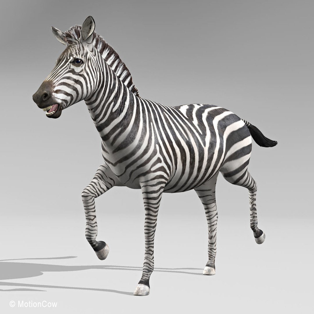 Photo Realistic Zebra 3D Model – Rigged, Animation Ready, FBX - View 8
