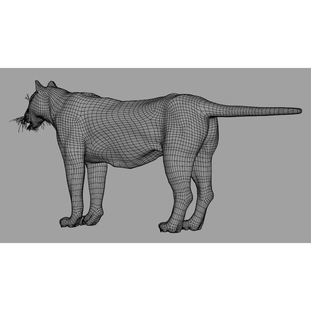 Tiger 3D Model – Rigged Animal Asset with Textures, FBX - View 12
