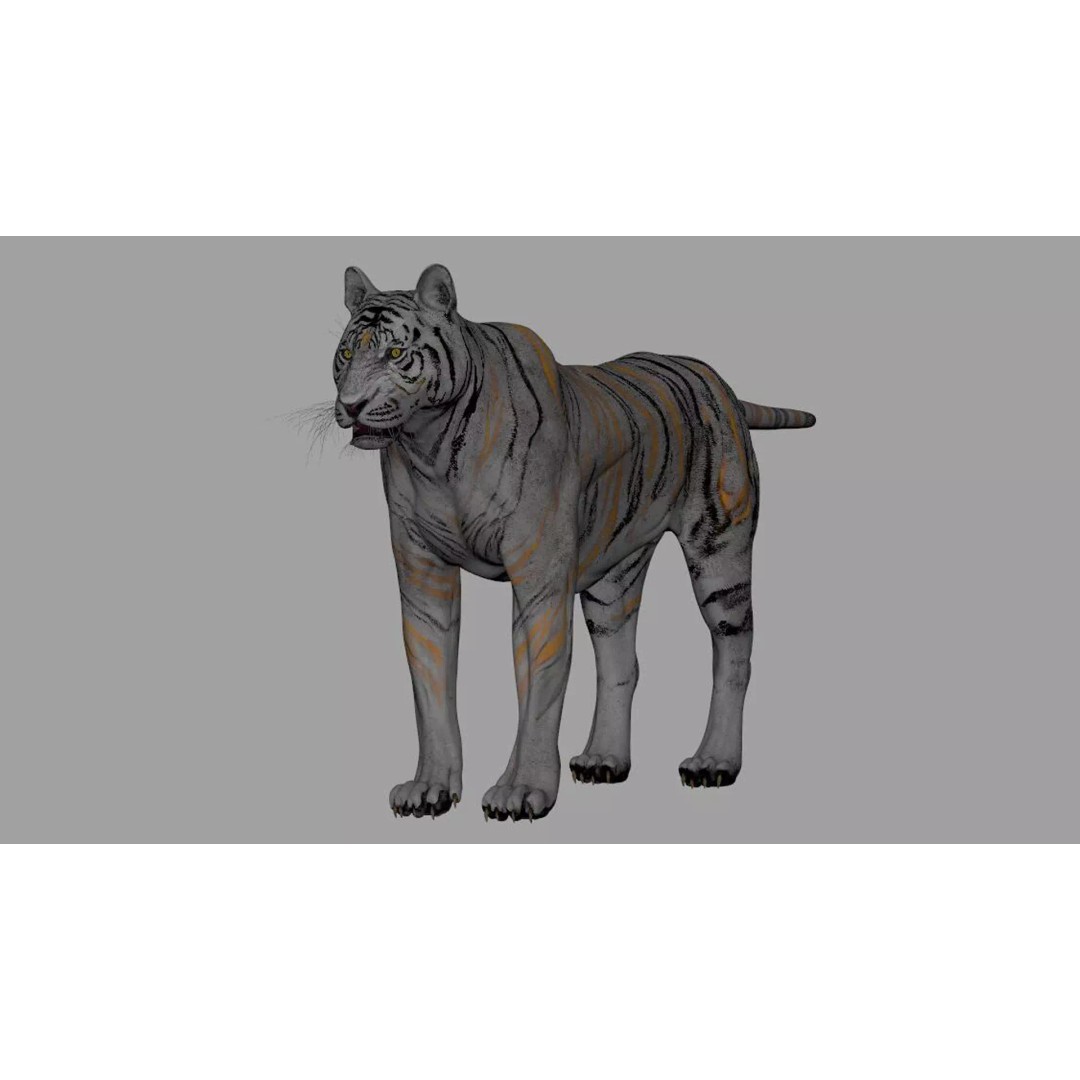 Tiger 3D Model – Rigged Animal Asset with Textures, FBX - View 2