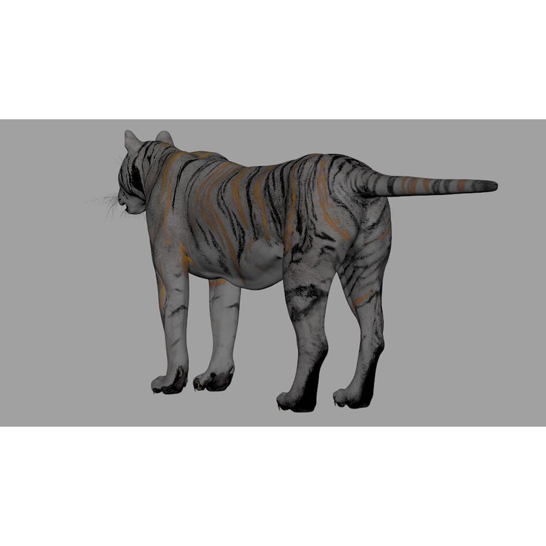 Tiger 3D Model – Rigged Animal Asset with Textures, FBX - View 3
