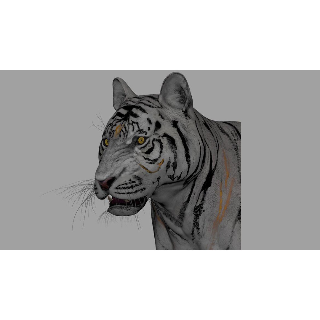 Tiger 3D Model – Rigged Animal Asset with Textures, FBX - View 4