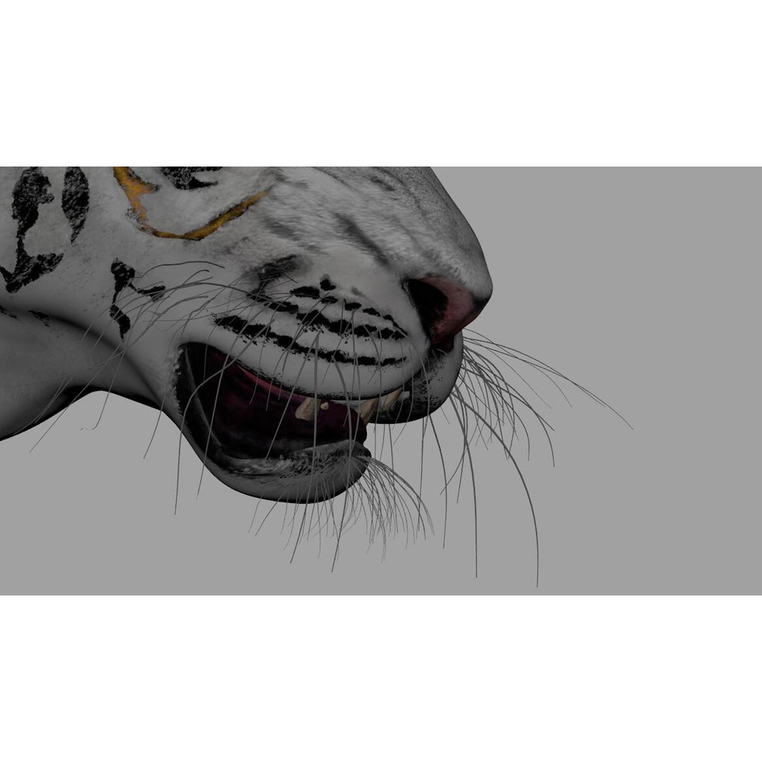Tiger 3D Model – Rigged Animal Asset with Textures, FBX - View 5