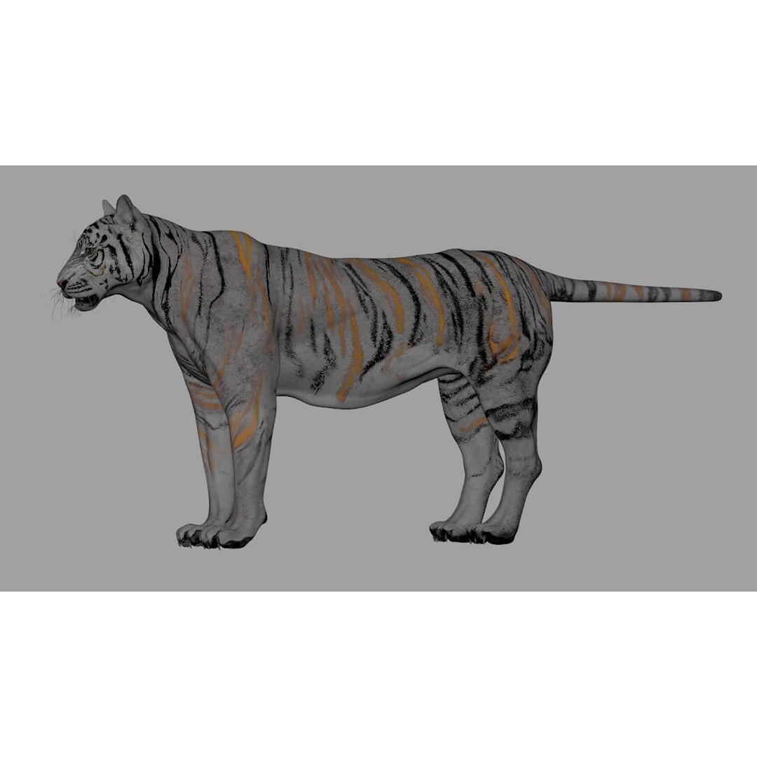 Tiger 3D Model – Rigged Animal Asset with Textures, FBX - View 6