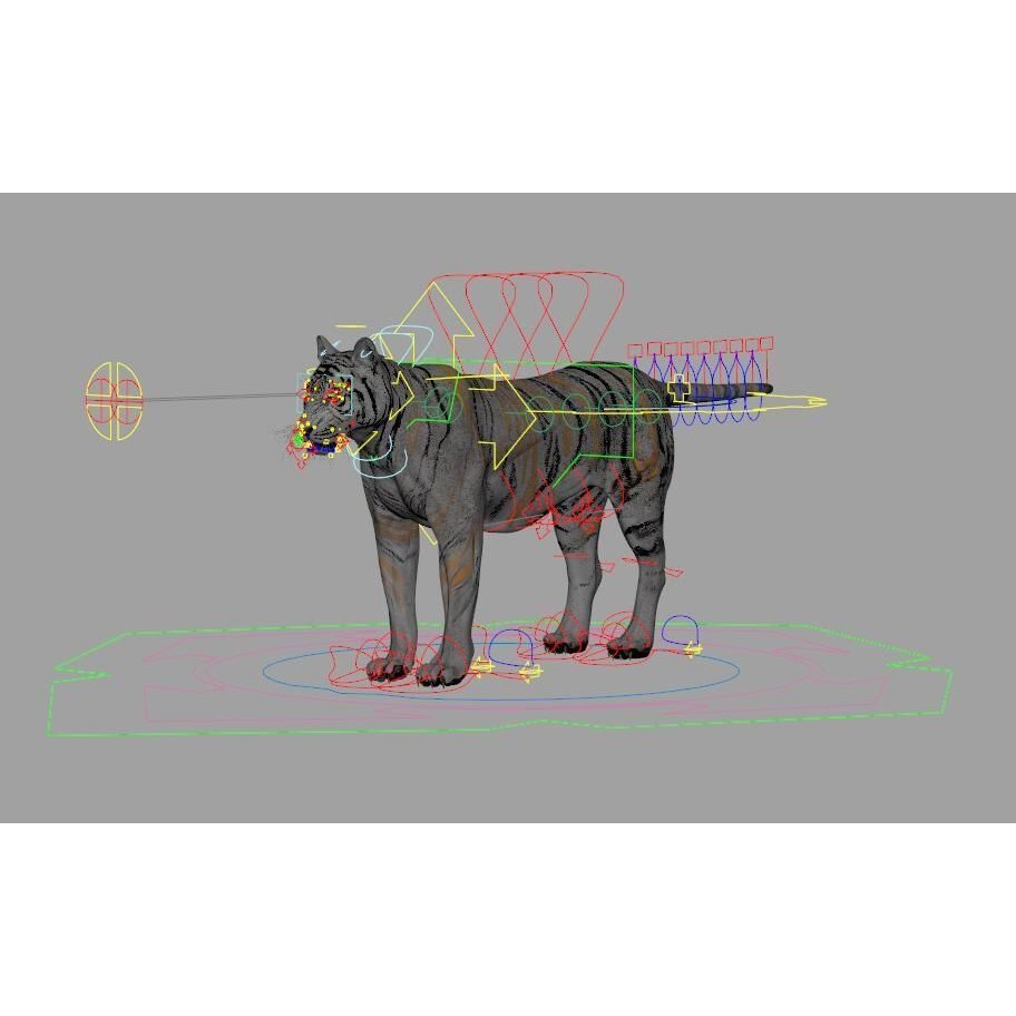 Tiger 3D Model – Rigged Animal Asset with Textures, FBX - View 7
