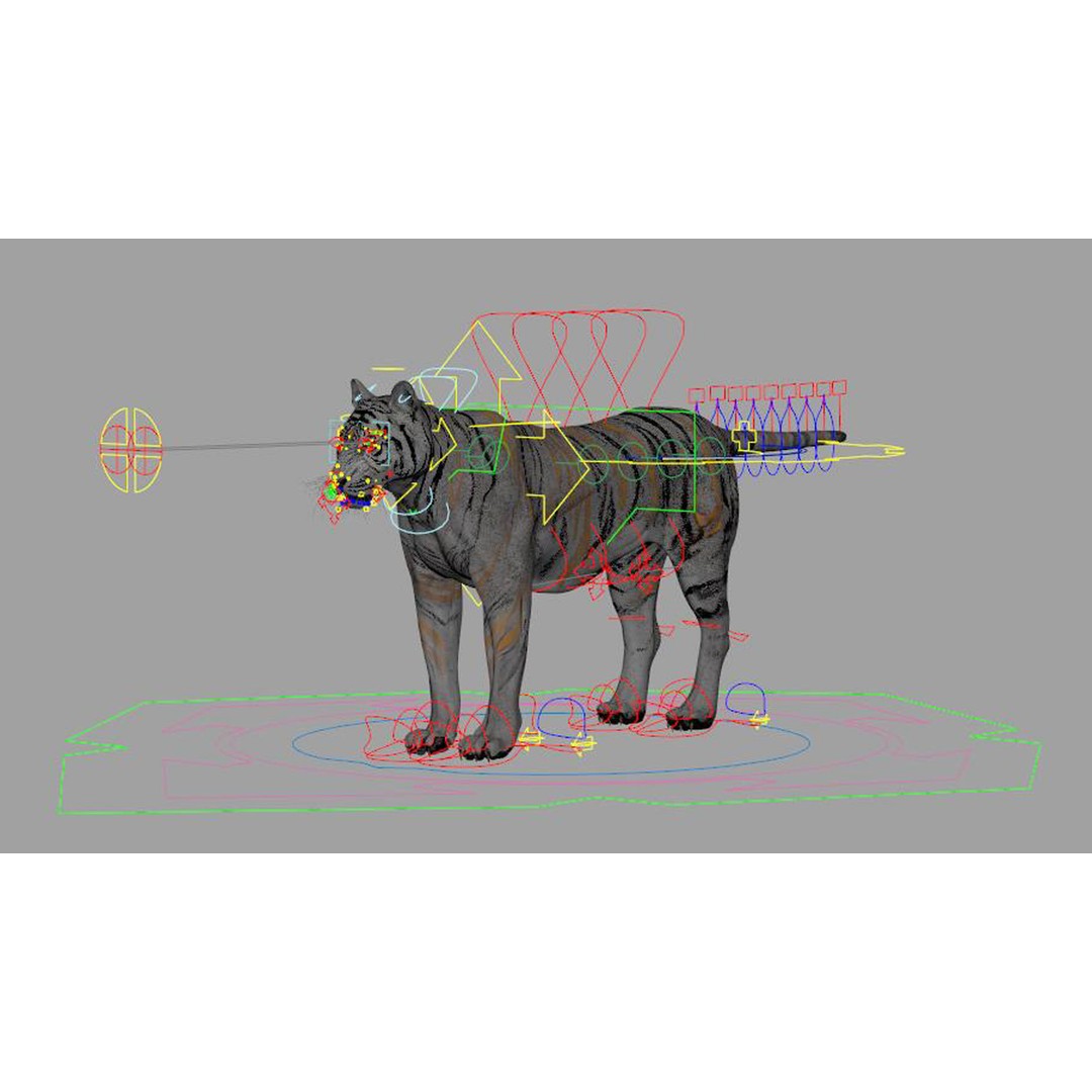 Tiger 3D Model – Rigged Animal Asset with Textures, FBX - View 8