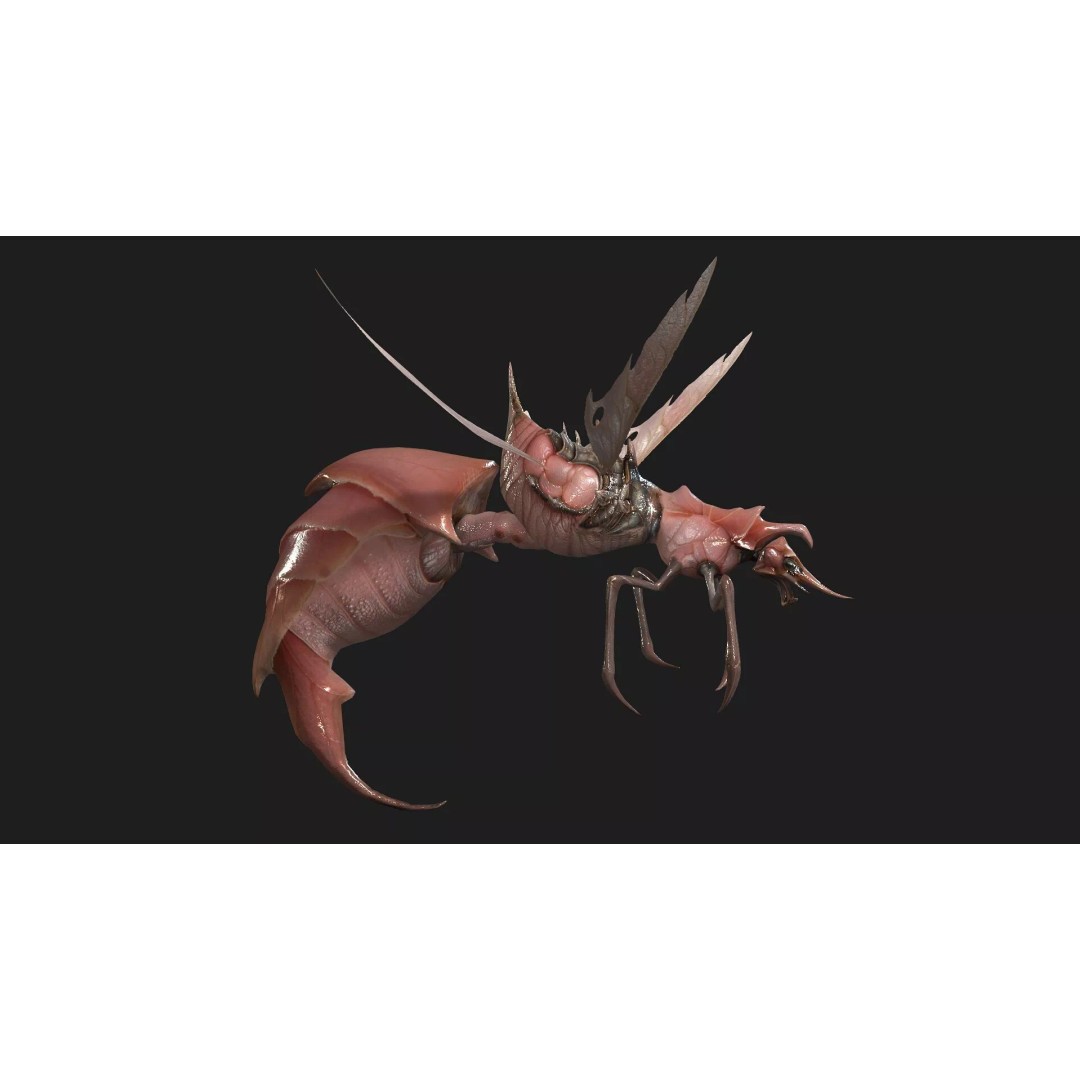 Bee Monster 3D Model – Low Poly Animated Insect, FBX, PBR - View 11