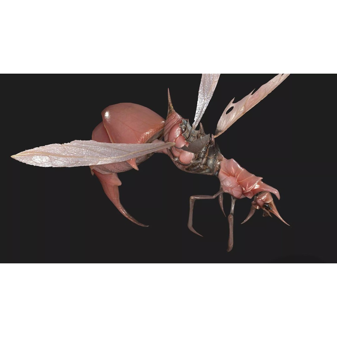 Bee Monster 3D Model – Low Poly Animated Insect, FBX, PBR - View 12