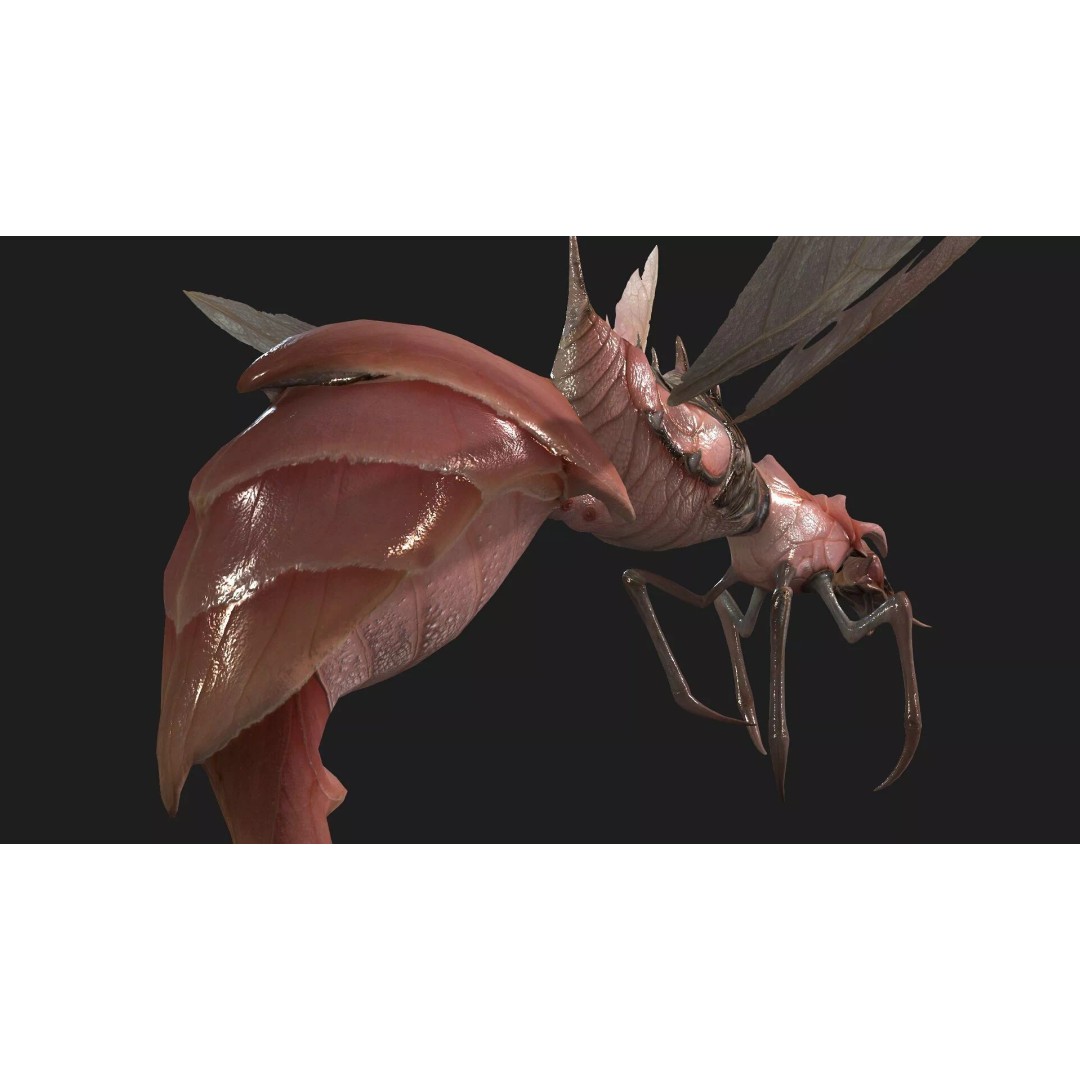 Bee Monster 3D Model – Low Poly Animated Insect, FBX, PBR - View 14
