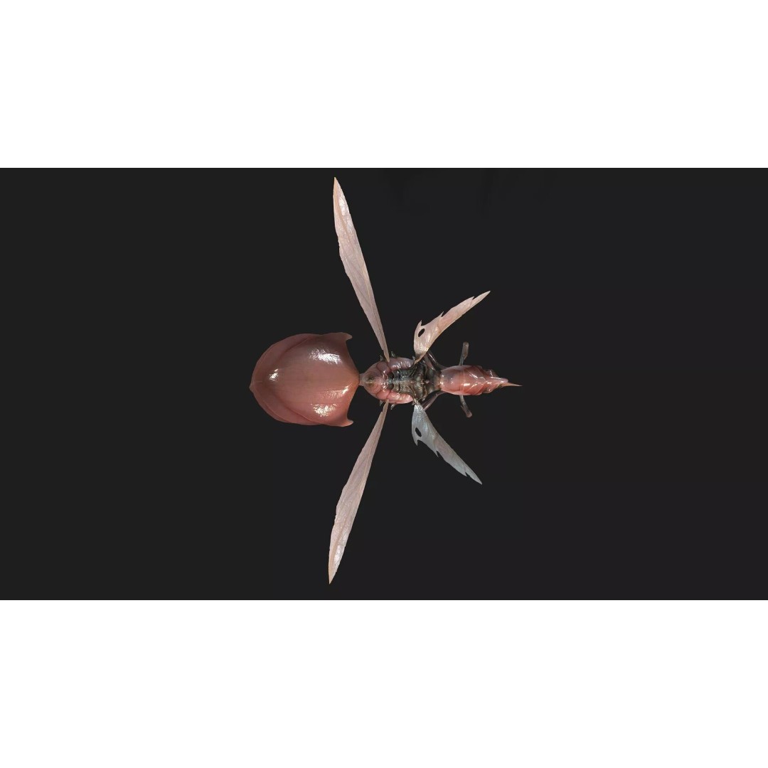 Bee Monster 3D Model – Low Poly Animated Insect, FBX, PBR - View 15