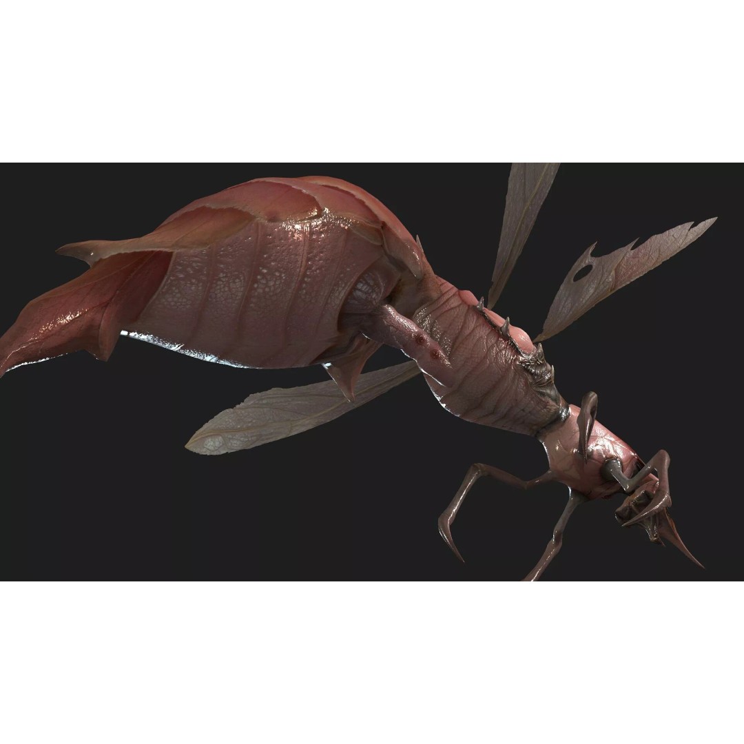 Bee Monster 3D Model – Low Poly Animated Insect, FBX, PBR - View 18