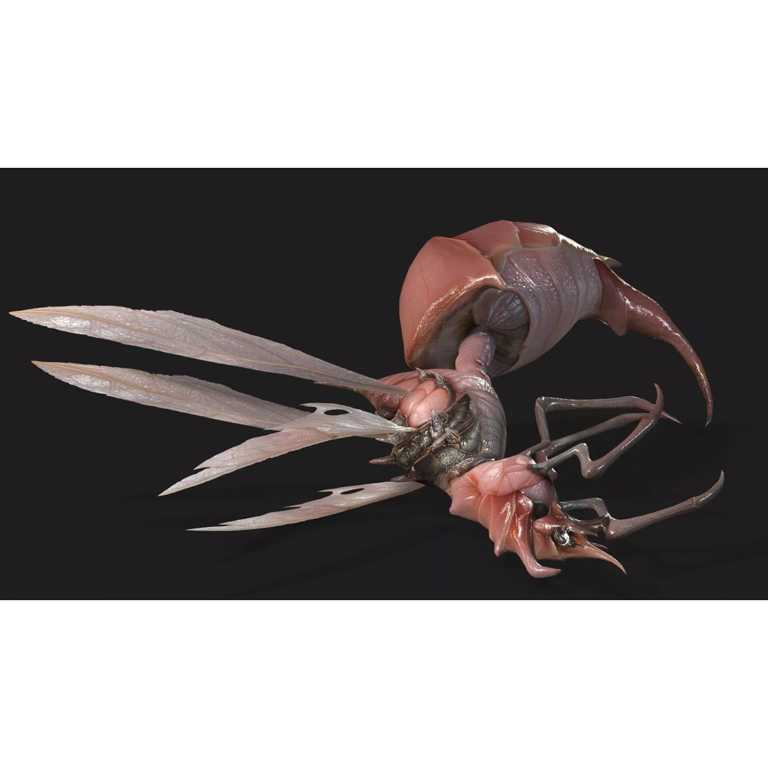 Bee Monster 3D Model – Low Poly Animated Insect, FBX, PBR - View 5