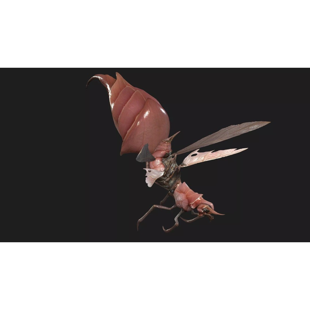 Bee Monster 3D Model – Low Poly Animated Insect, FBX, PBR - View 6