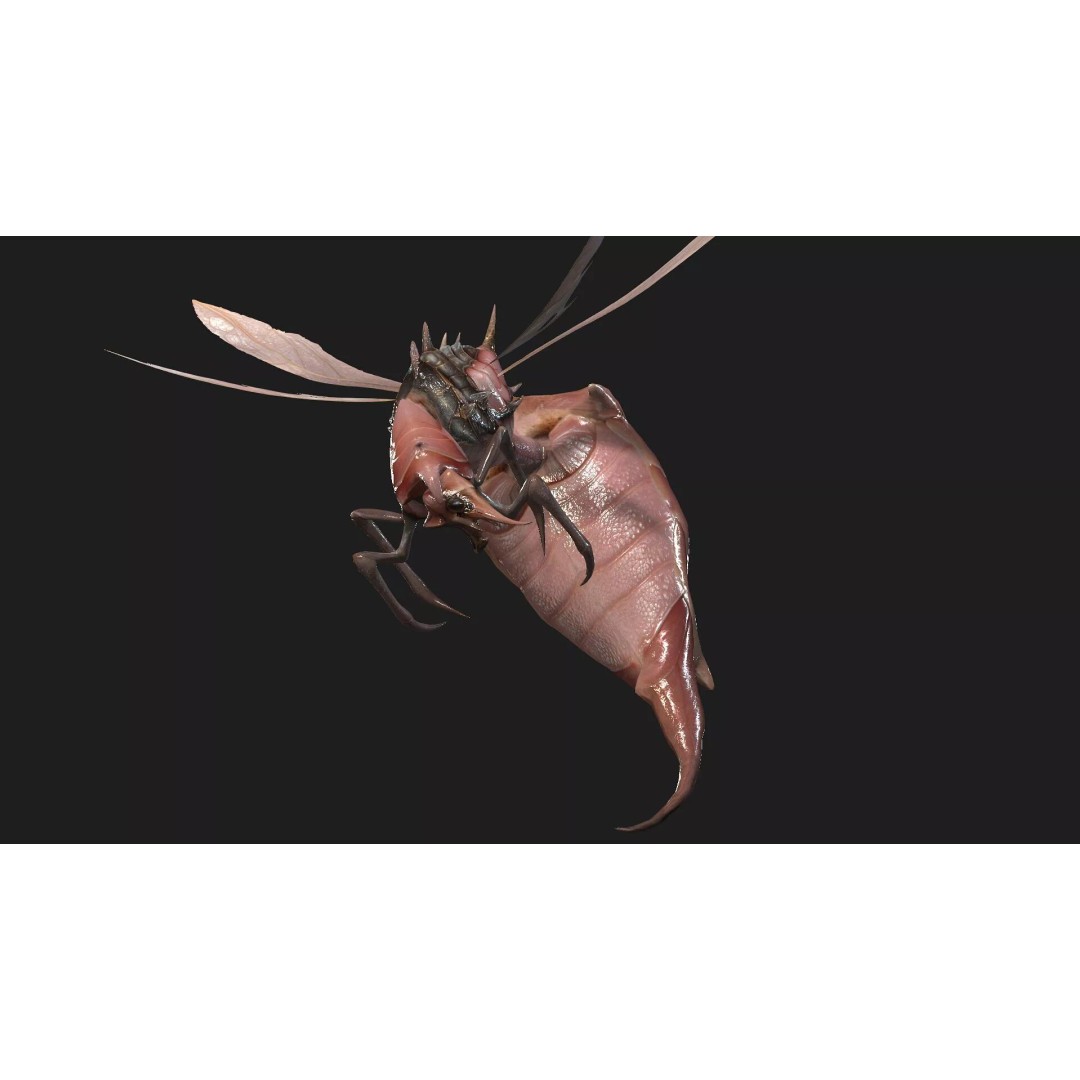 Bee Monster 3D Model – Low Poly Animated Insect, FBX, PBR - View 7