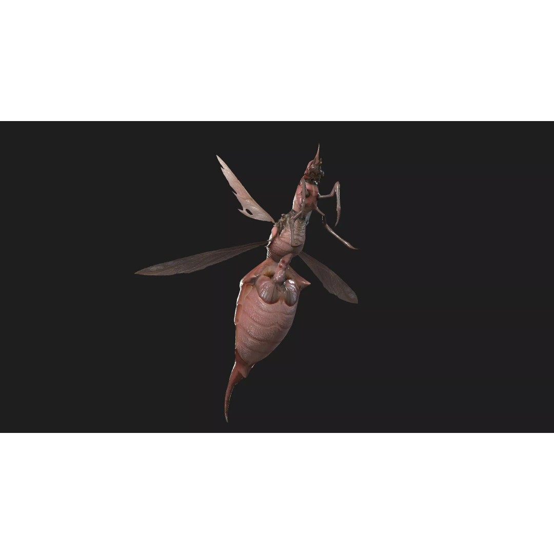Bee Monster 3D Model – Low Poly Animated Insect, FBX, PBR - View 8