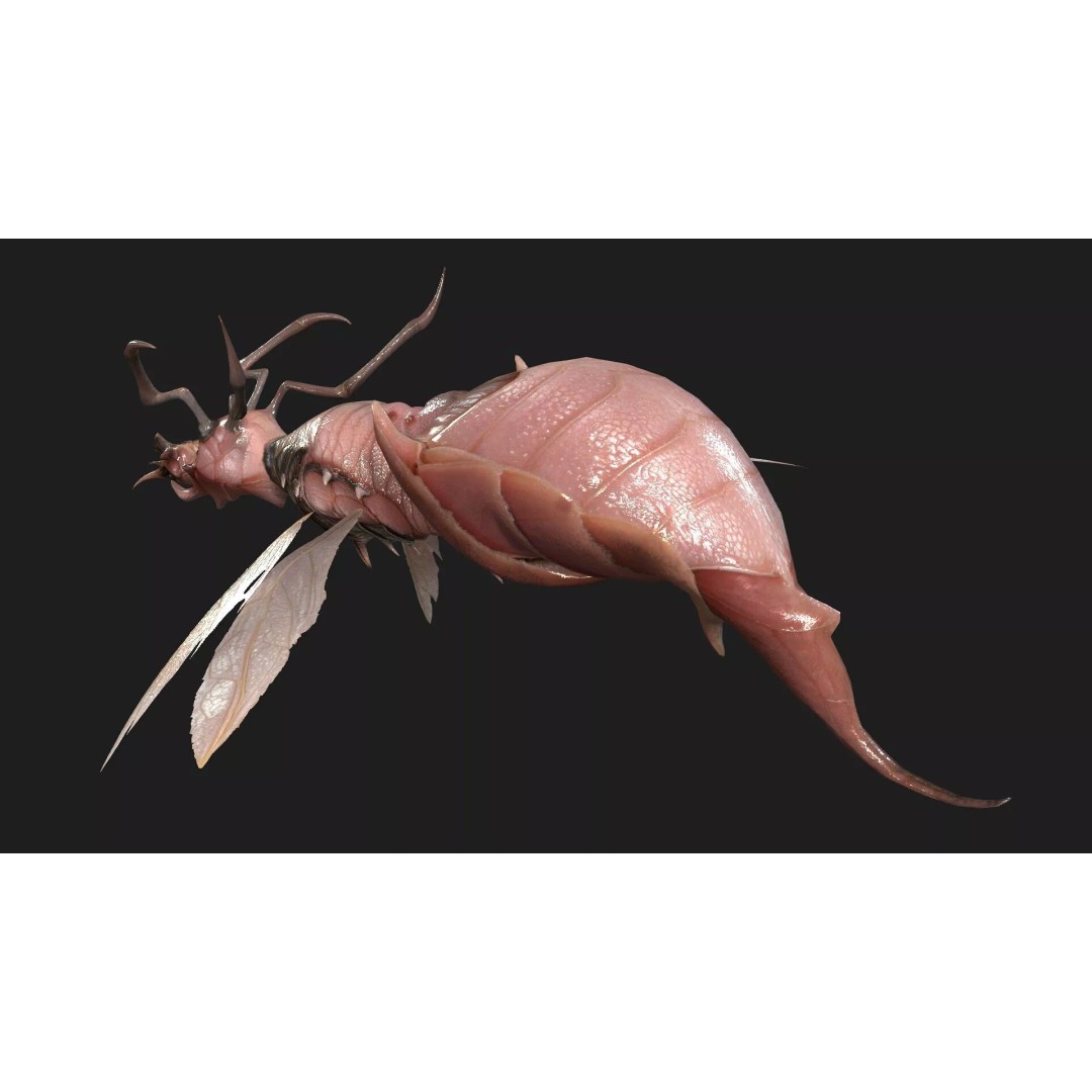 Bee Monster 3D Model – Low Poly Animated Insect, FBX, PBR - View 9