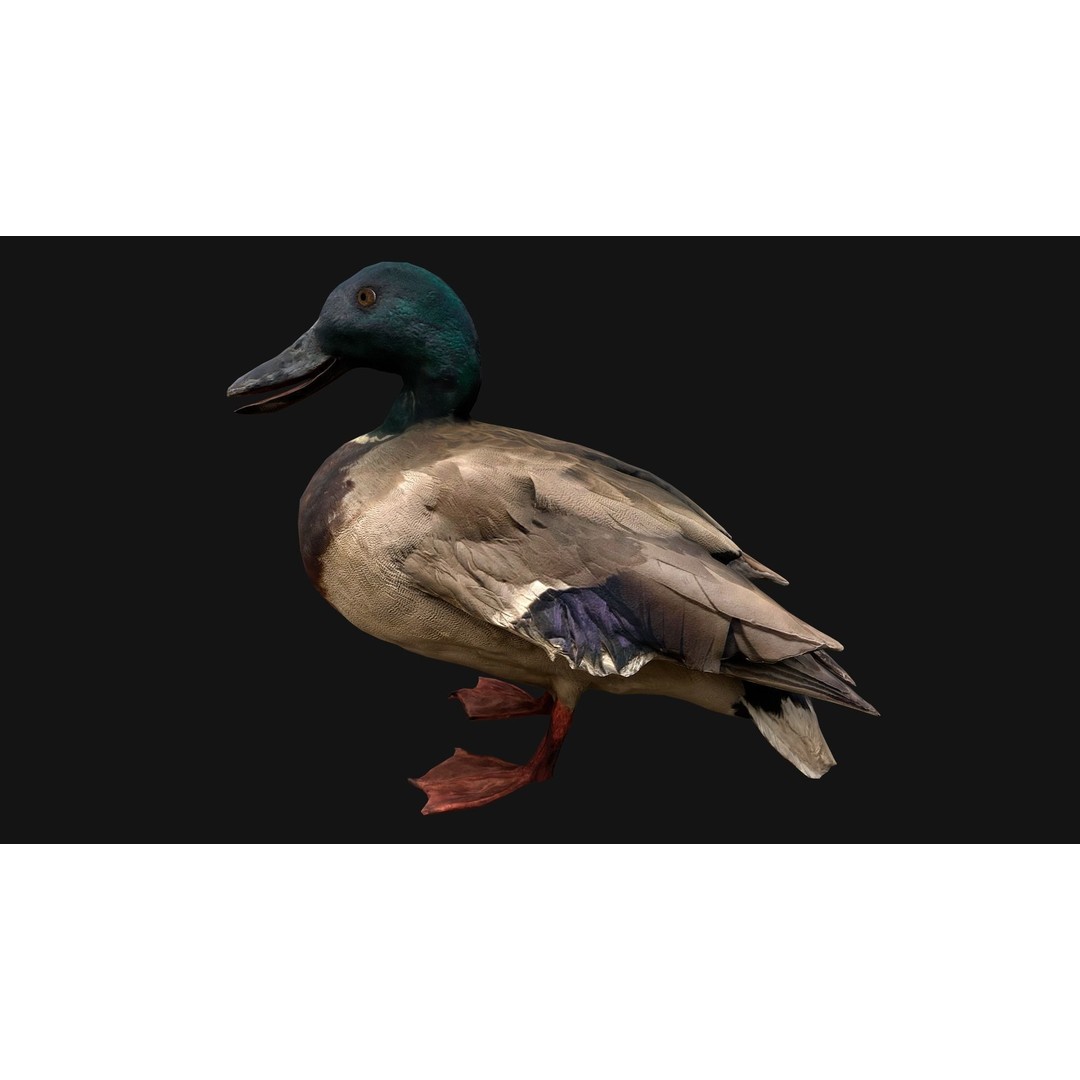 Duck Pack 3D Model – Low Poly Game Asset, PBR Textured, FBX - View 12
