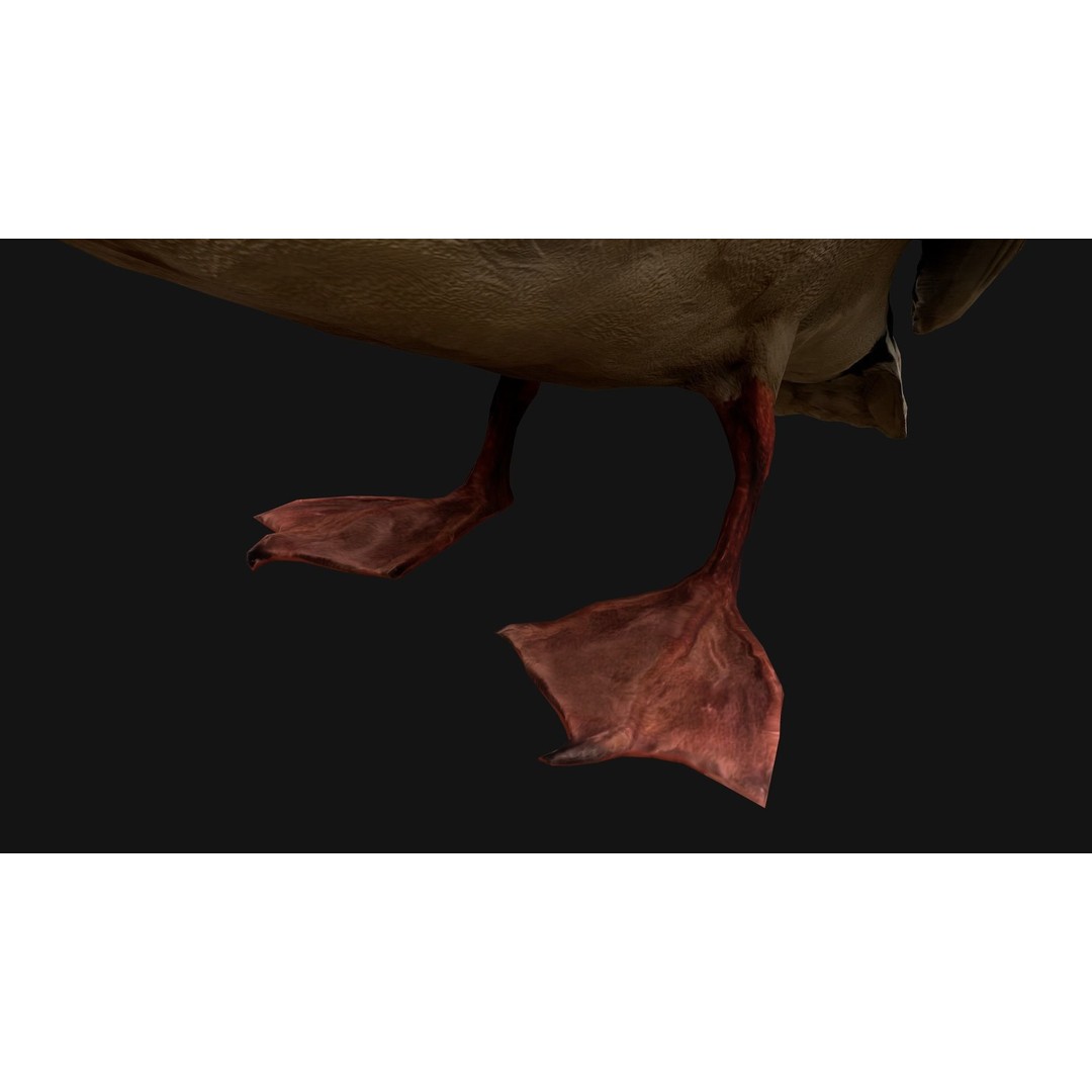 Duck Pack 3D Model – Low Poly Game Asset, PBR Textured, FBX - View 14