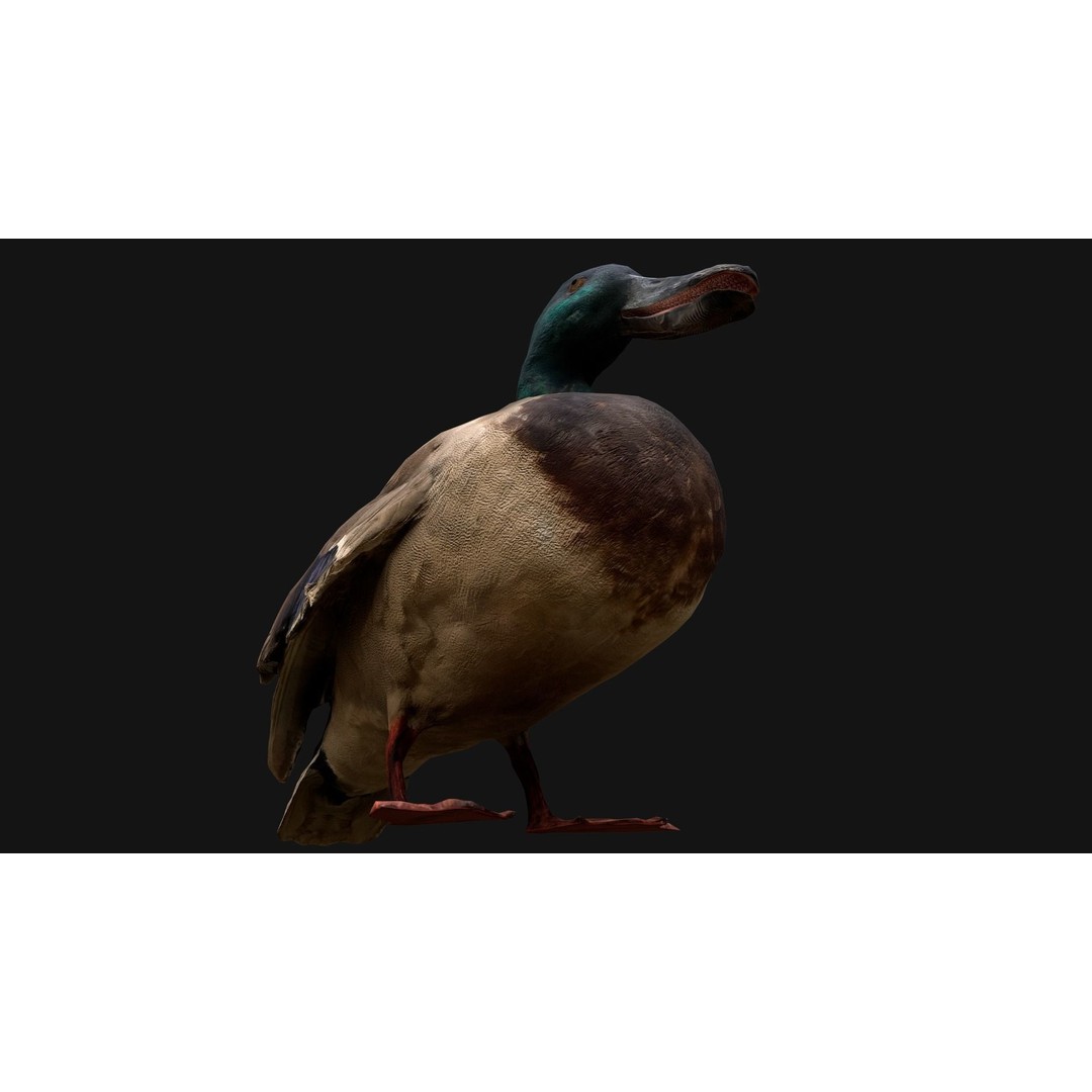 Duck Pack 3D Model – Low Poly Game Asset, PBR Textured, FBX - View 15
