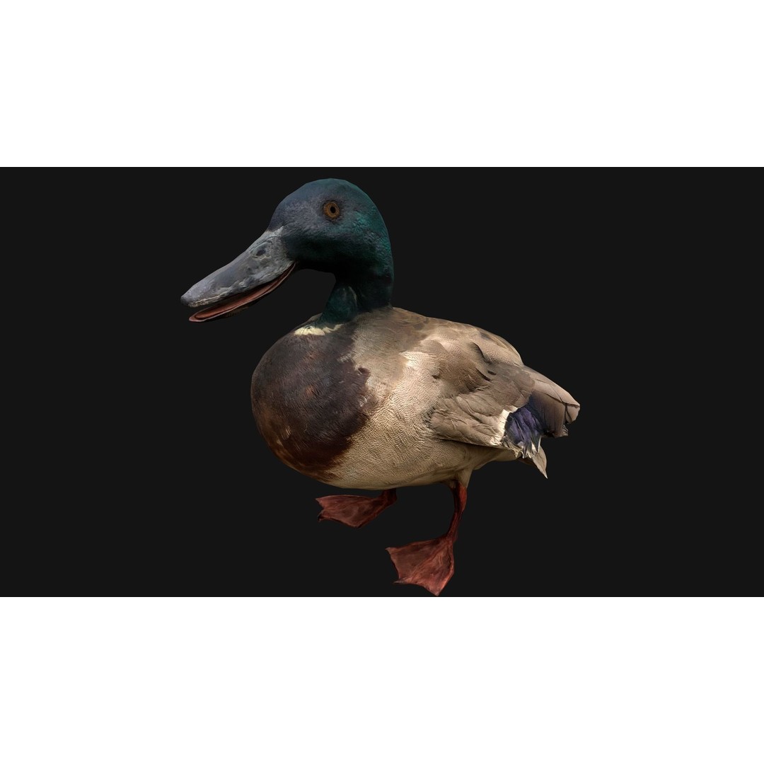 Duck Pack 3D Model – Low Poly Game Asset, PBR Textured, FBX - View 16