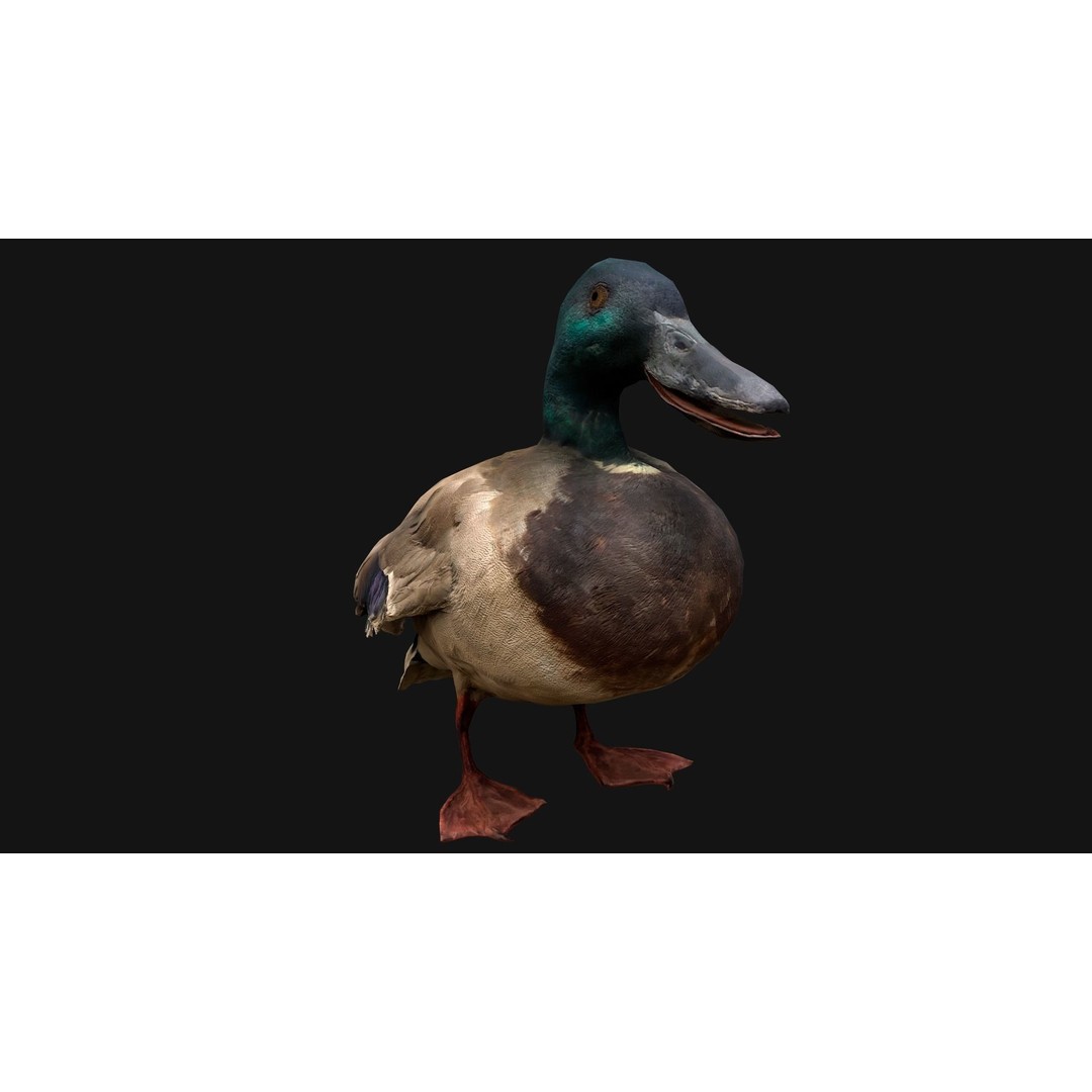Duck Pack 3D Model – Low Poly Game Asset, PBR Textured, FBX - View 17