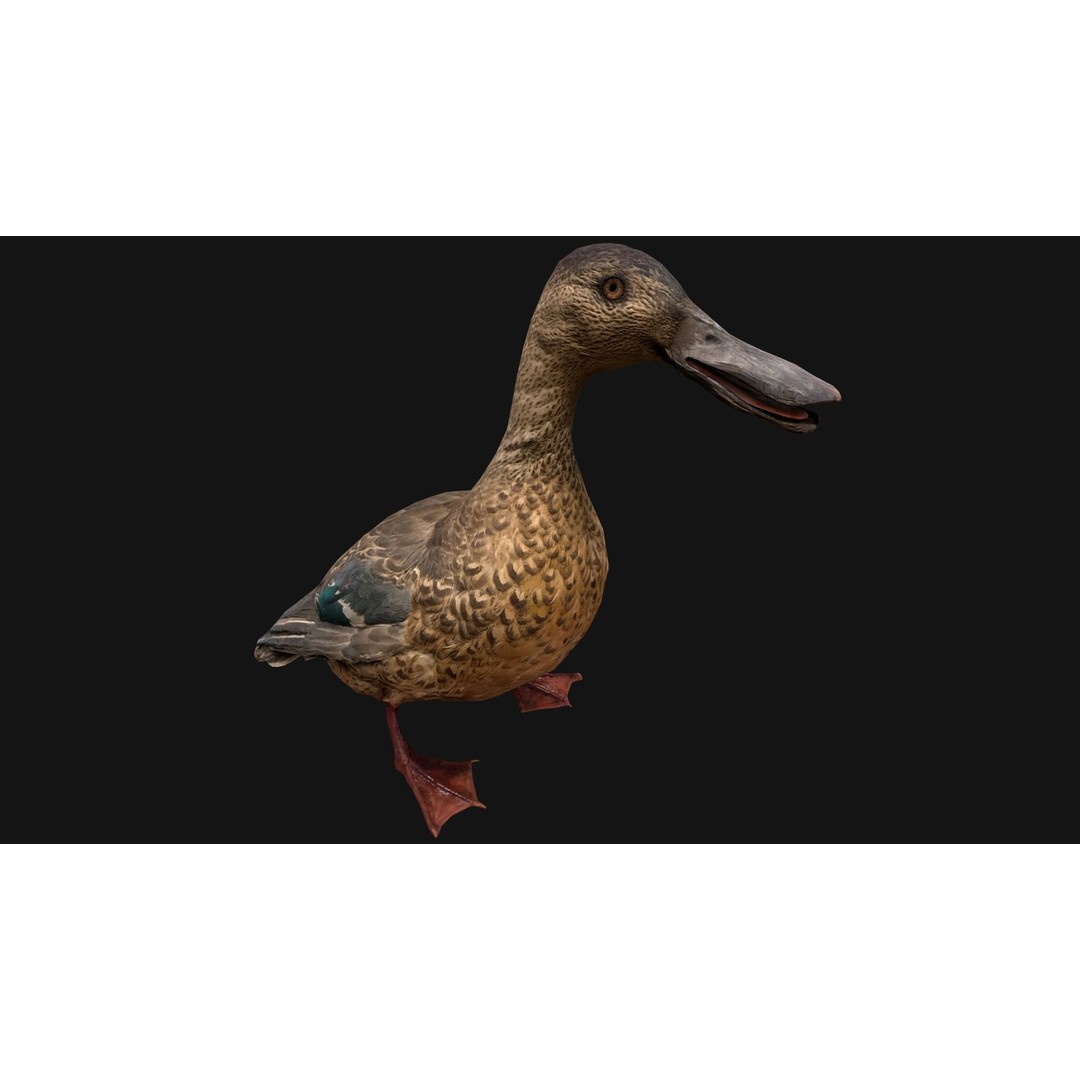 Duck Pack 3D Model – Low Poly Game Asset, PBR Textured, FBX - View 20
