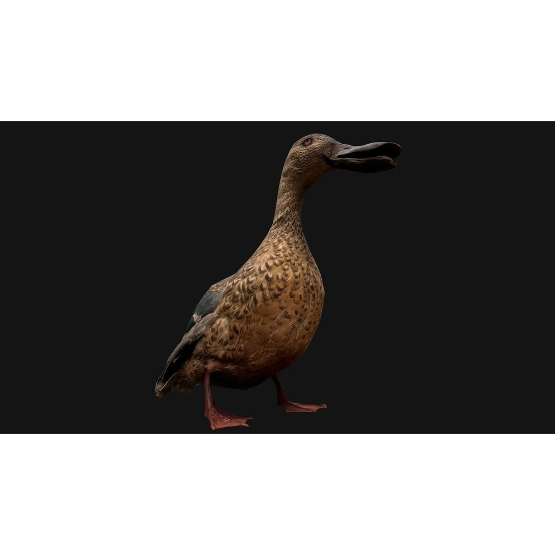 Duck Pack 3D Model – Low Poly Game Asset, PBR Textured, FBX - View 21