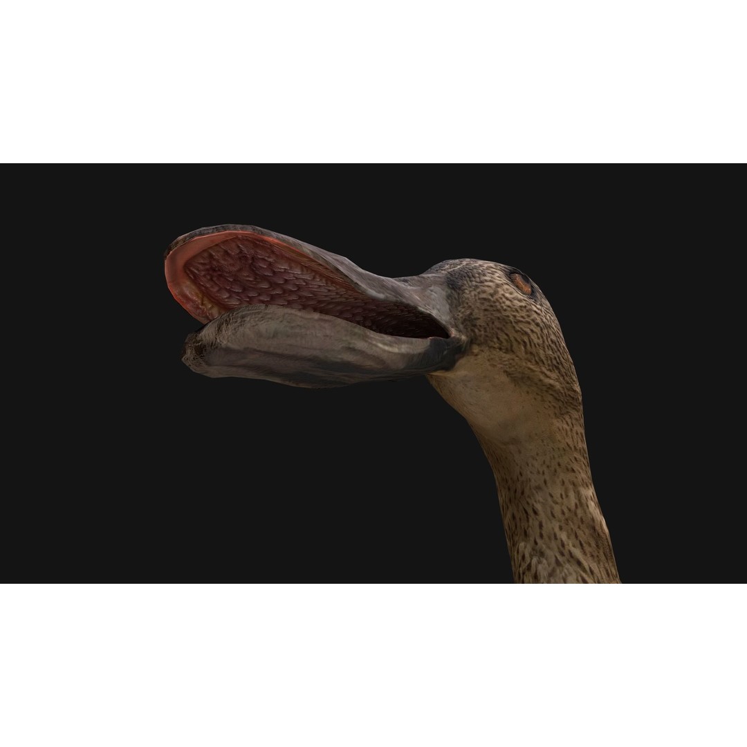 Duck Pack 3D Model – Low Poly Game Asset, PBR Textured, FBX - View 23