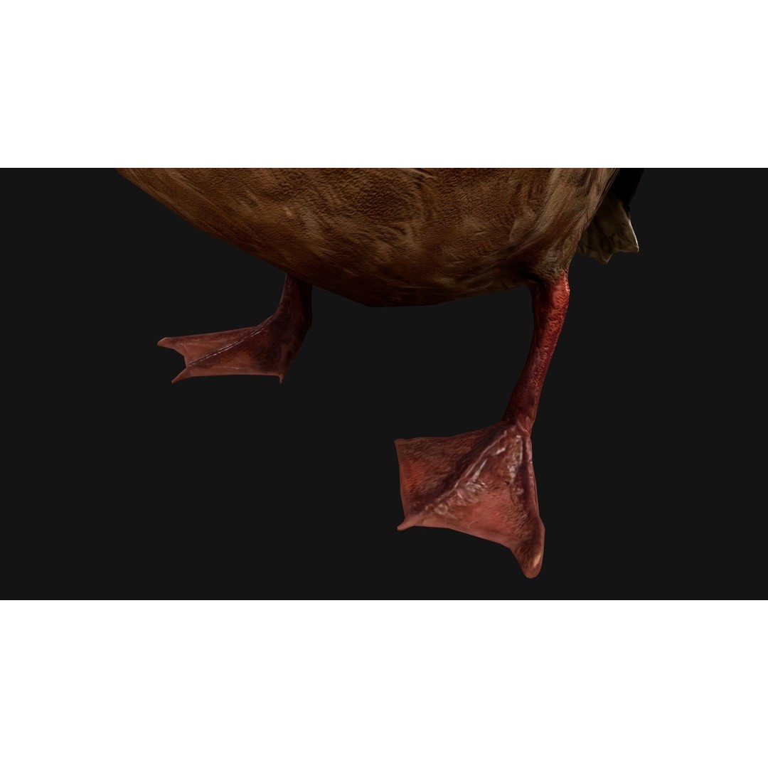 Duck Pack 3D Model – Low Poly Game Asset, PBR Textured, FBX - View 25