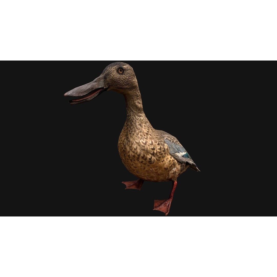 Duck Pack 3D Model – Low Poly Game Asset, PBR Textured, FBX - View 26