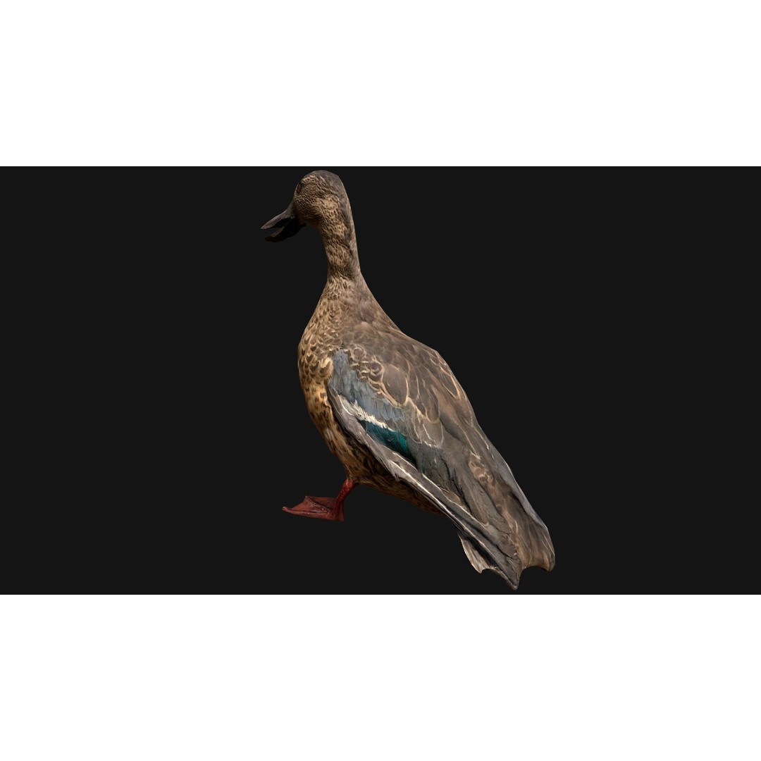 Duck Pack 3D Model – Low Poly Game Asset, PBR Textured, FBX - View 29
