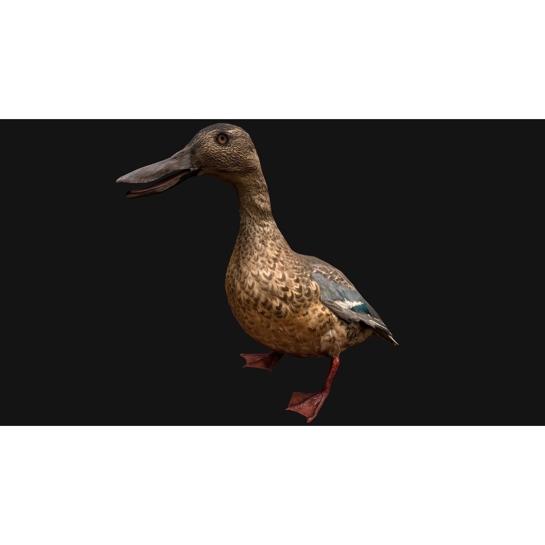 Duck Pack 3D Model – Low Poly Game Asset, PBR Textured, FBX - View 30