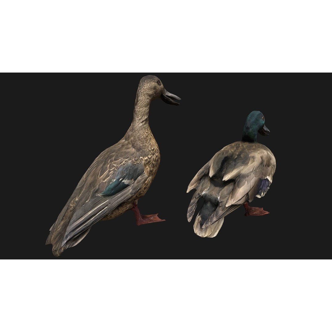 Duck Pack 3D Model – Low Poly Game Asset, PBR Textured, FBX - View 6