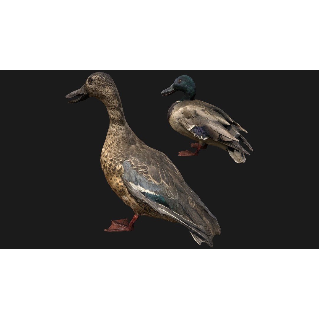 Duck Pack 3D Model – Low Poly Game Asset, PBR Textured, FBX - View 7