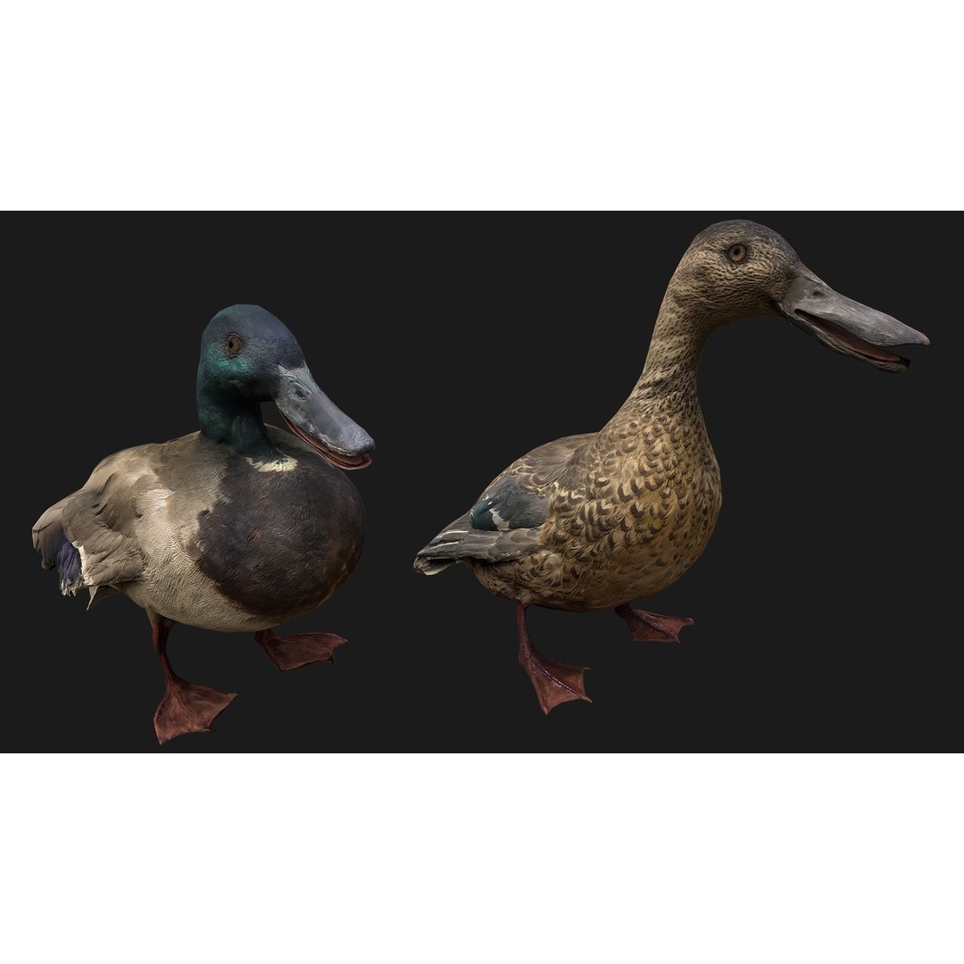 Duck Pack 3D Model – Low Poly Game Asset, PBR Textured, FBX - View 8