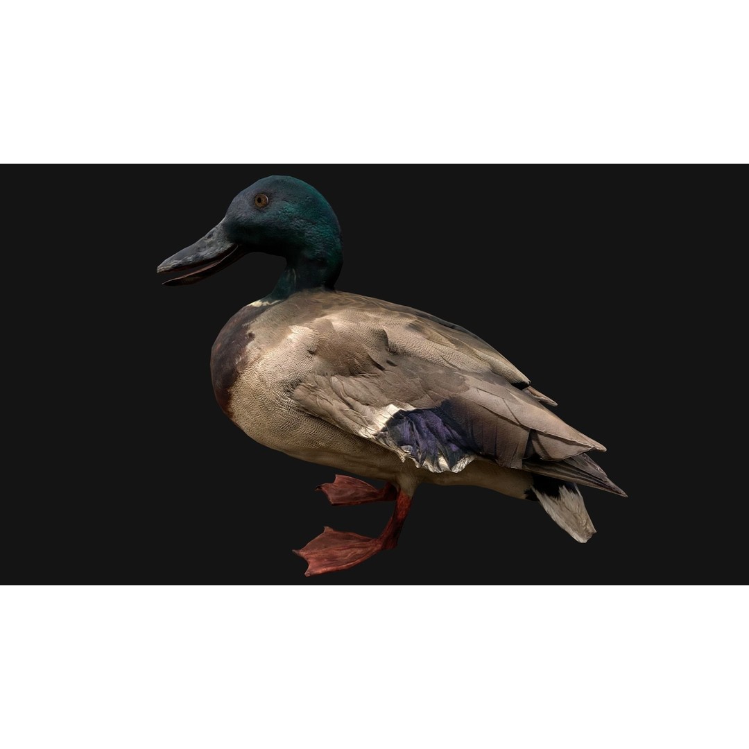 Duck Pack 3D Model – Low Poly Game Asset, PBR Textured, FBX - View 9