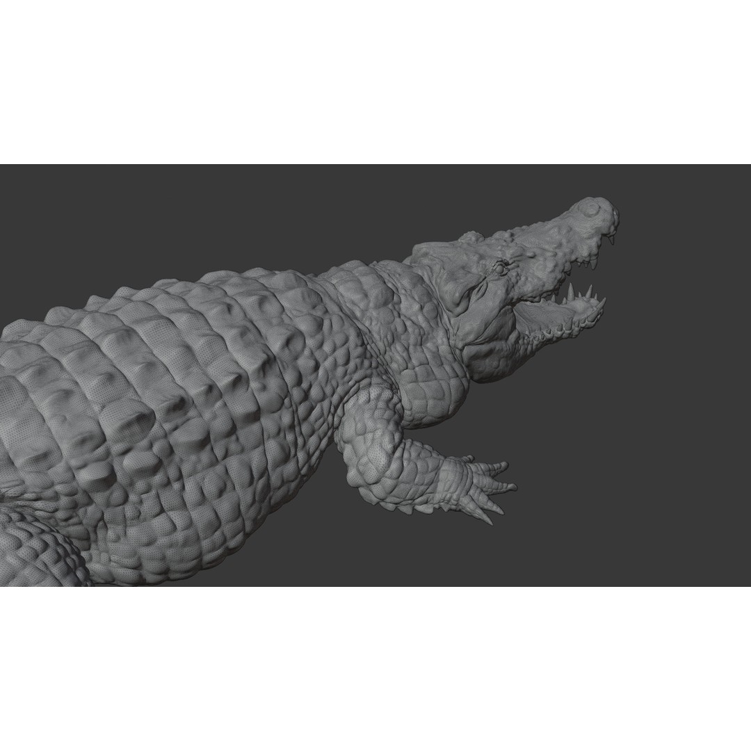 Crocodile 3D Model – Highly Detailed Game-Ready Asset, FBX, Blender