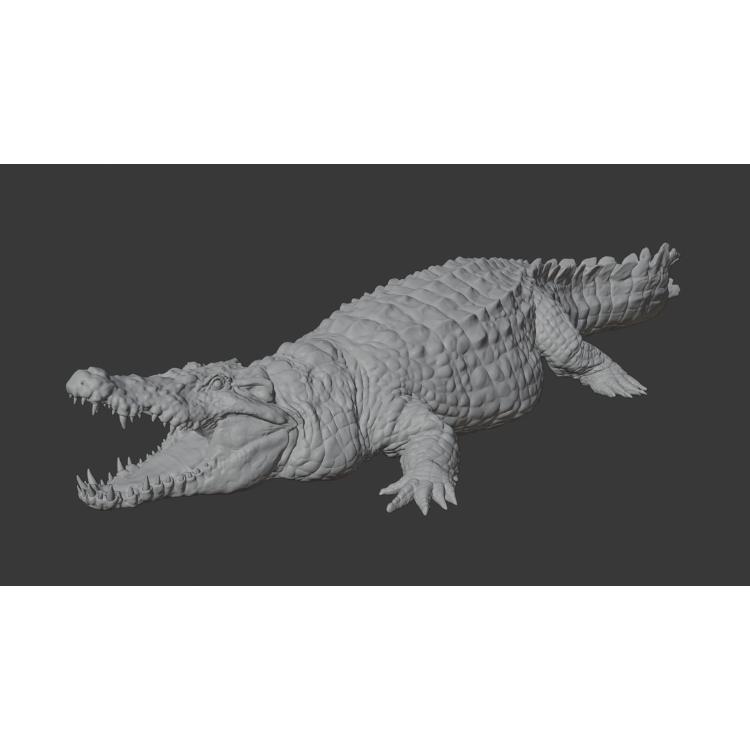 Crocodile 3D Model – Highly Detailed Game-Ready Asset, FBX, Blender - View 17