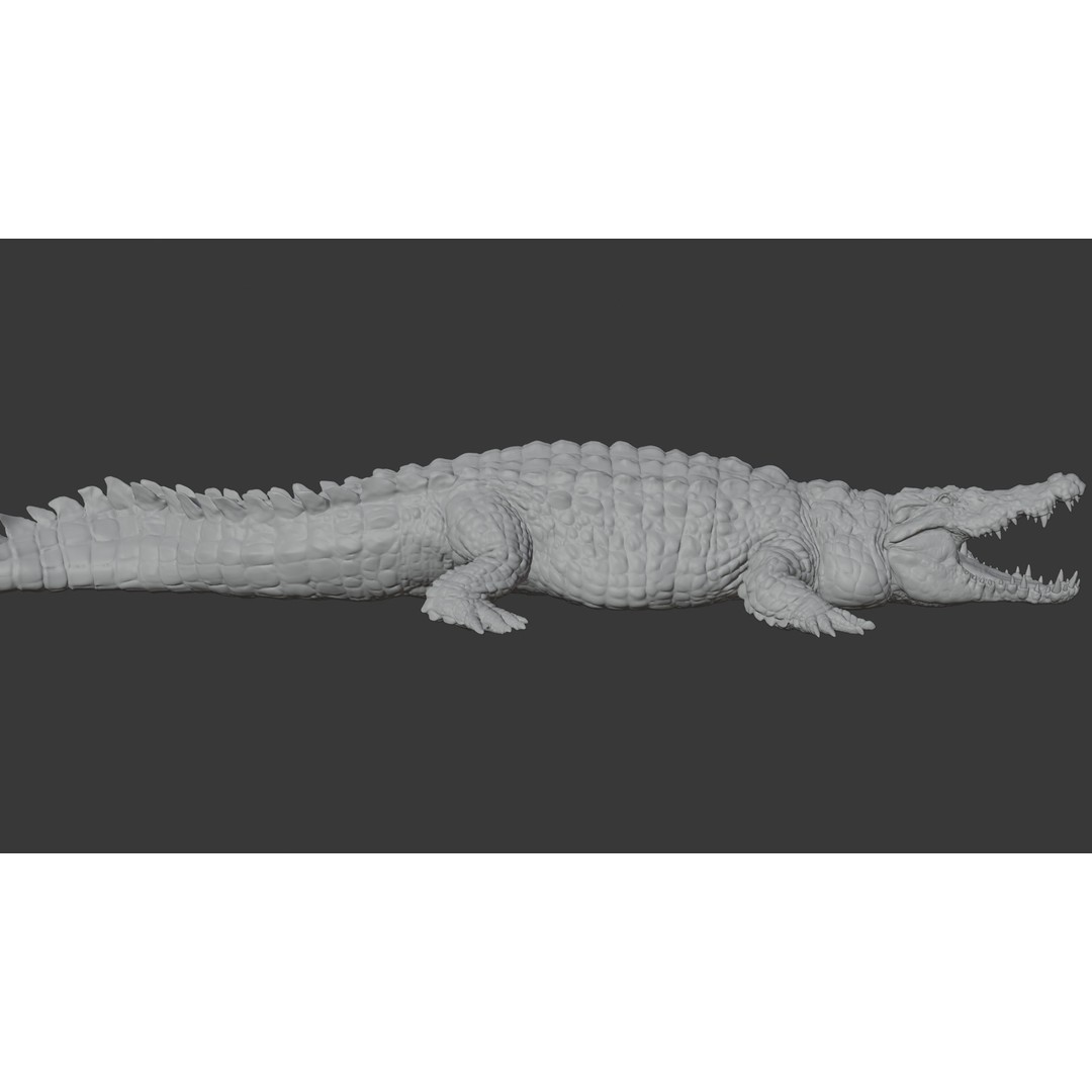 Crocodile 3D Model – Highly Detailed Game-Ready Asset, FBX, Blender - View 19