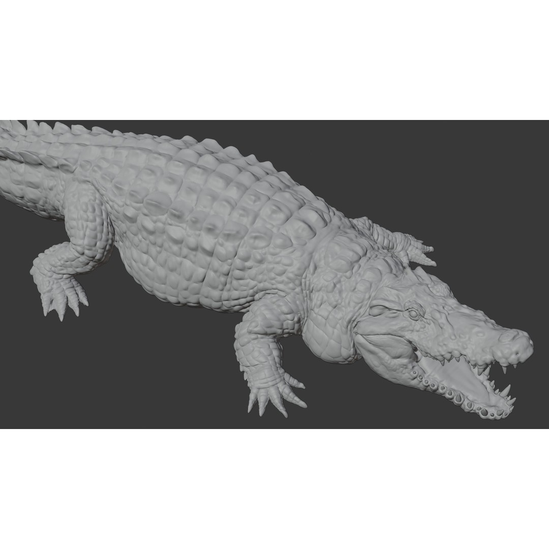 Crocodile 3D Model – Highly Detailed Game-Ready Asset, FBX, Blender - View 23