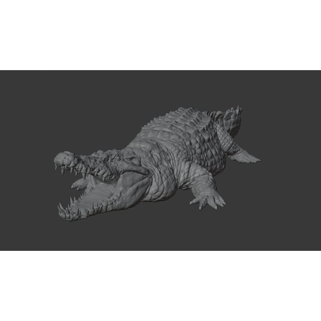 Crocodile 3D Model – Highly Detailed Game-Ready Asset, FBX, Blender - View 25