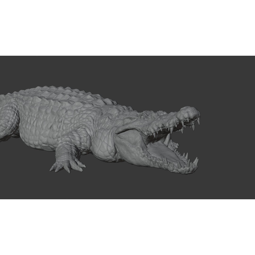 Crocodile 3D Model – Highly Detailed Game-Ready Asset, FBX, Blender - View 27