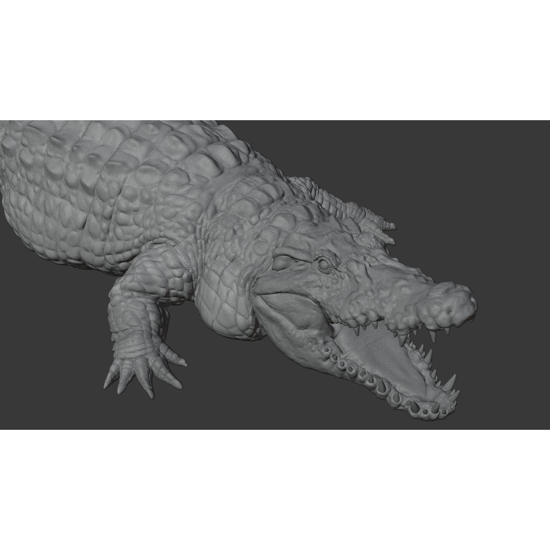 Crocodile 3D Model – Highly Detailed Game-Ready Asset, FBX, Blender - View 30