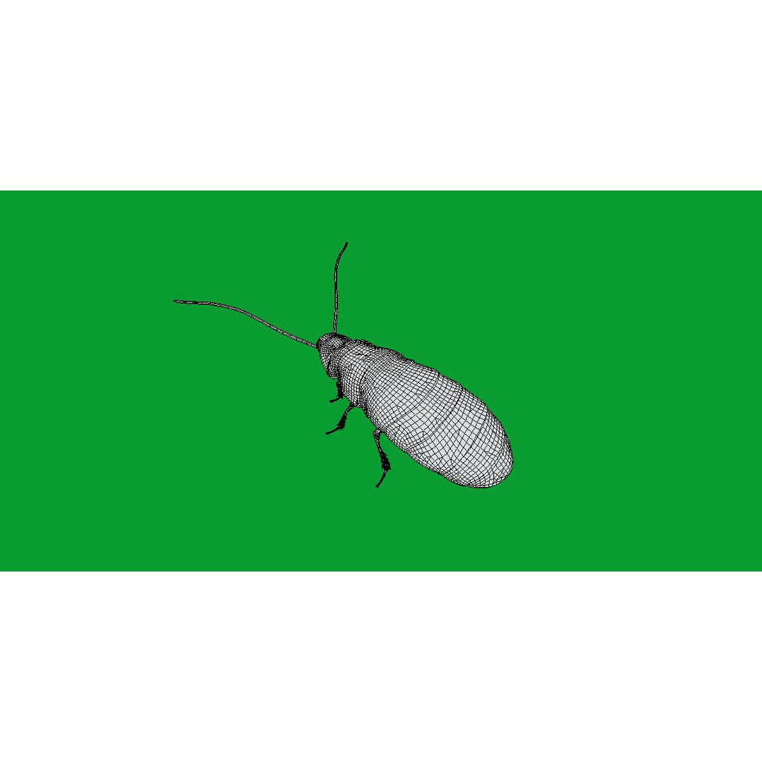 Madagascar Hissing Cockroach 3D Model – Low Poly Game Ready, FBX - View 11