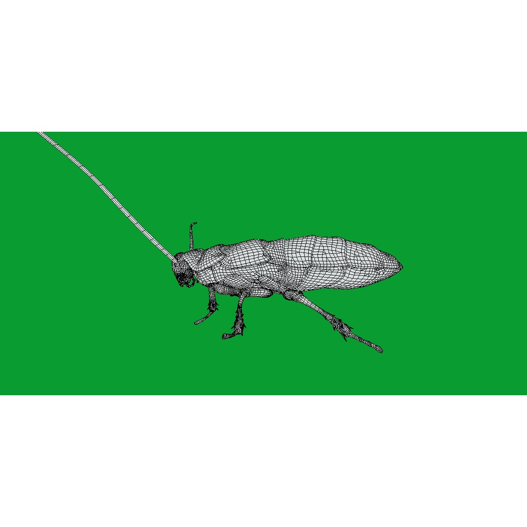 Madagascar Hissing Cockroach 3D Model – Low Poly Game Ready, FBX - View 12