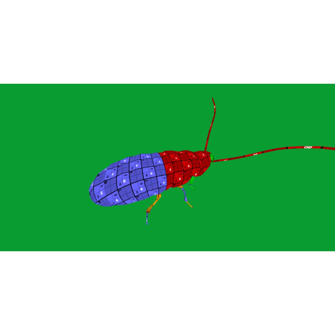 Madagascar Hissing Cockroach 3D Model – Low Poly Game Ready, FBX - View 17